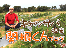 キャッサバ担当関根君ブログ