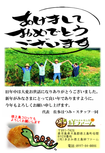 2025新年あけましておめでとうございます。